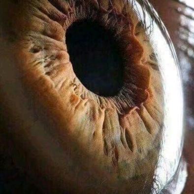 Miss Li's 💕glasse