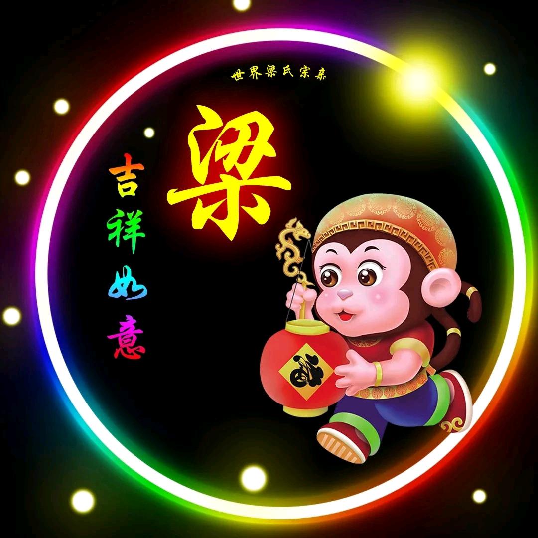 执业兽医梁老师