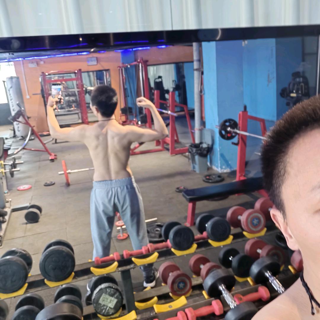豪豪