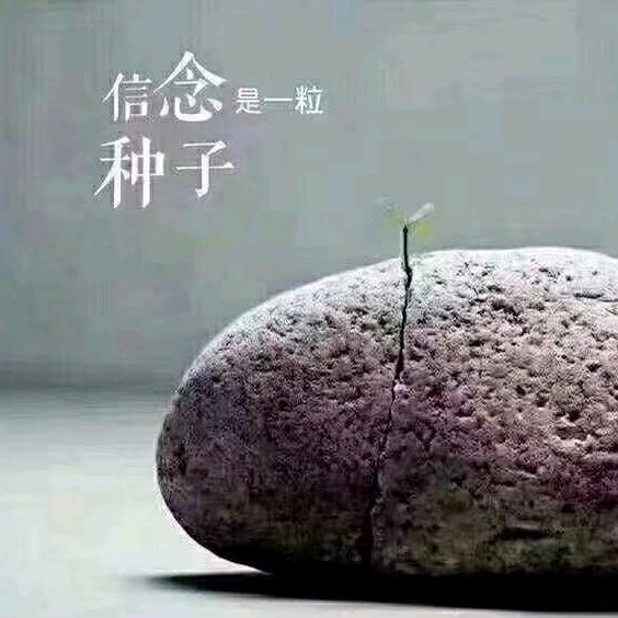 A建筑加固施工，设计，检测