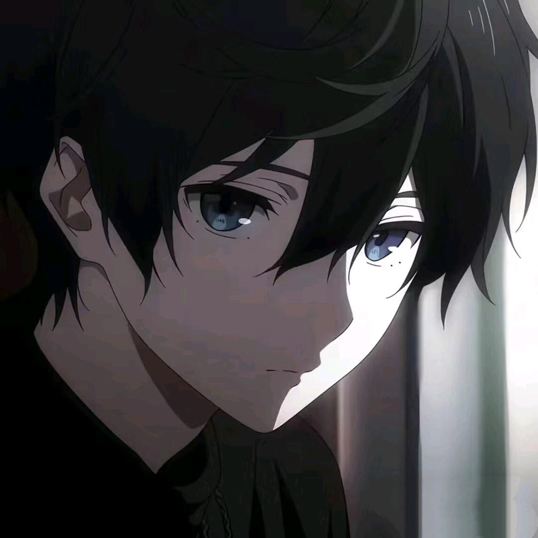 ✨温柔小熊✨
