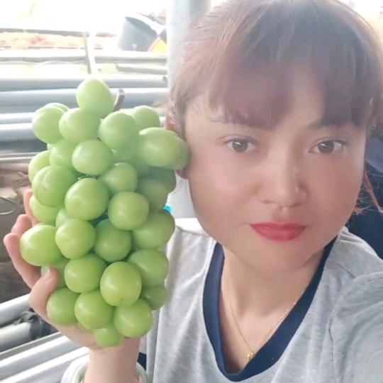 姐妹代办