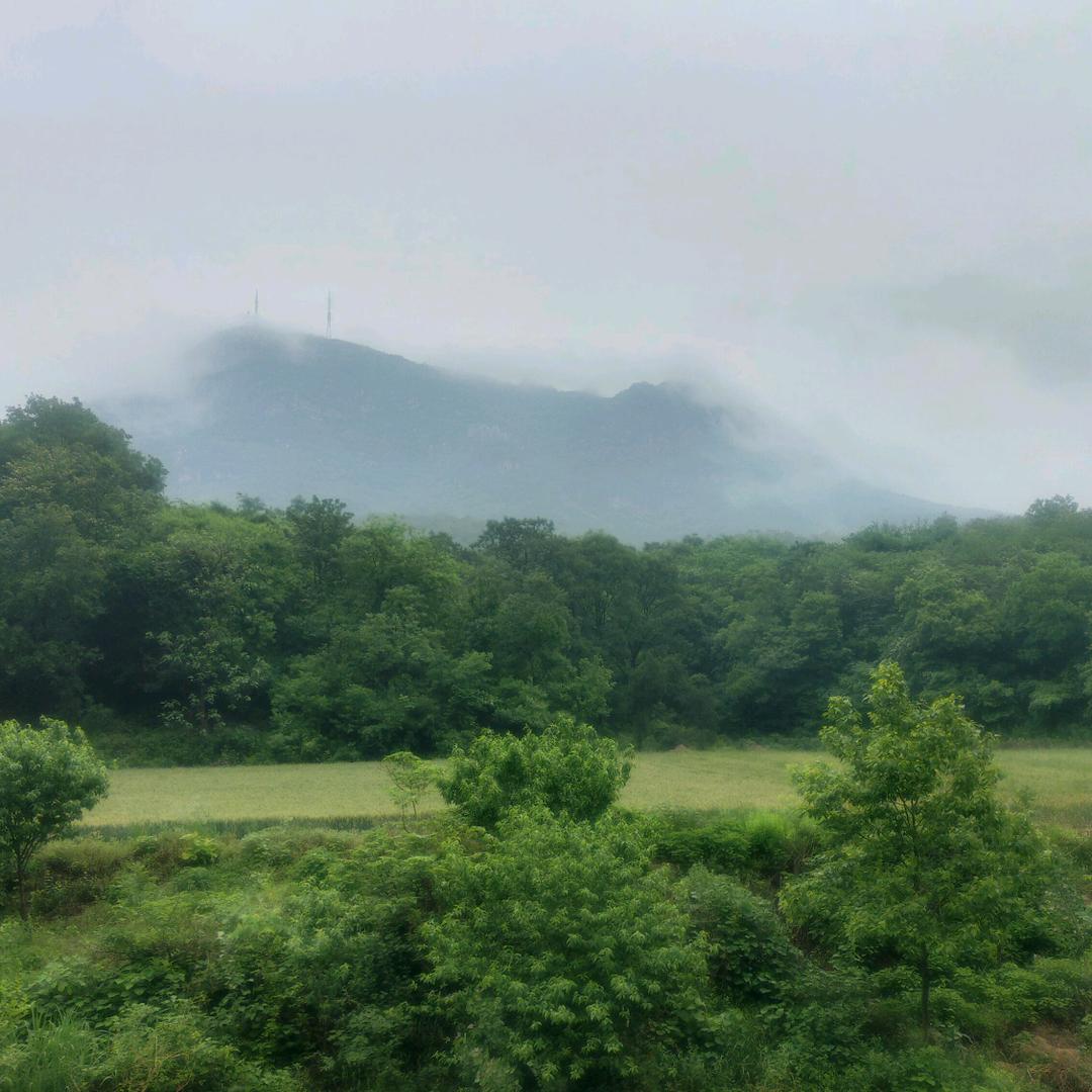 随风奔跑
