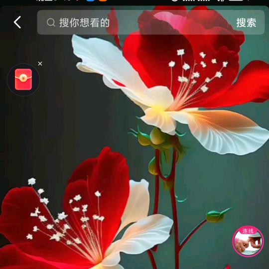 开心快乐每一天