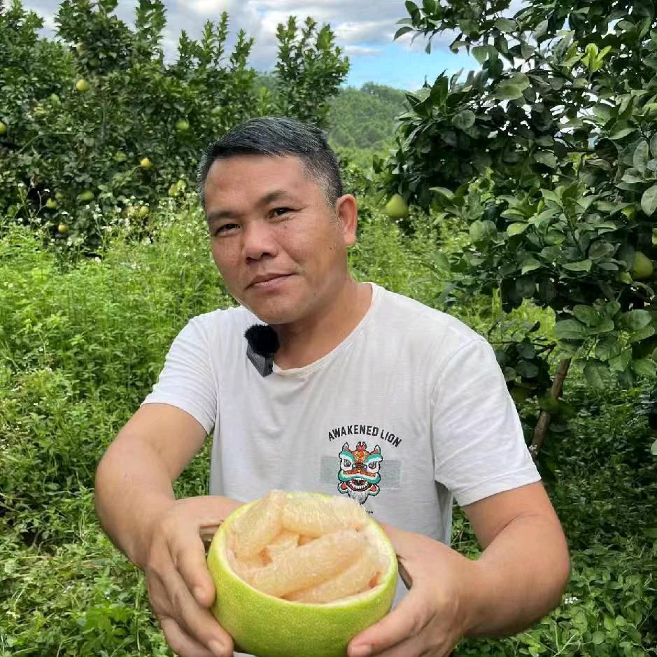 仙游老林文旦柚