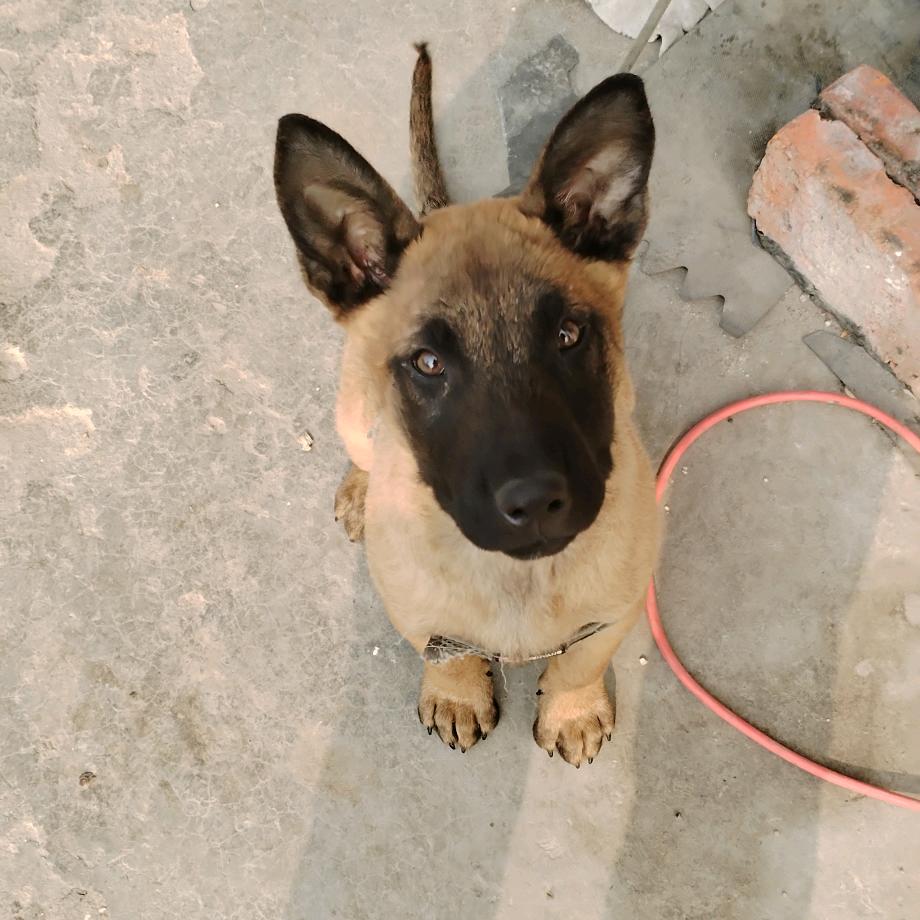 长夜漫漫难以入睡