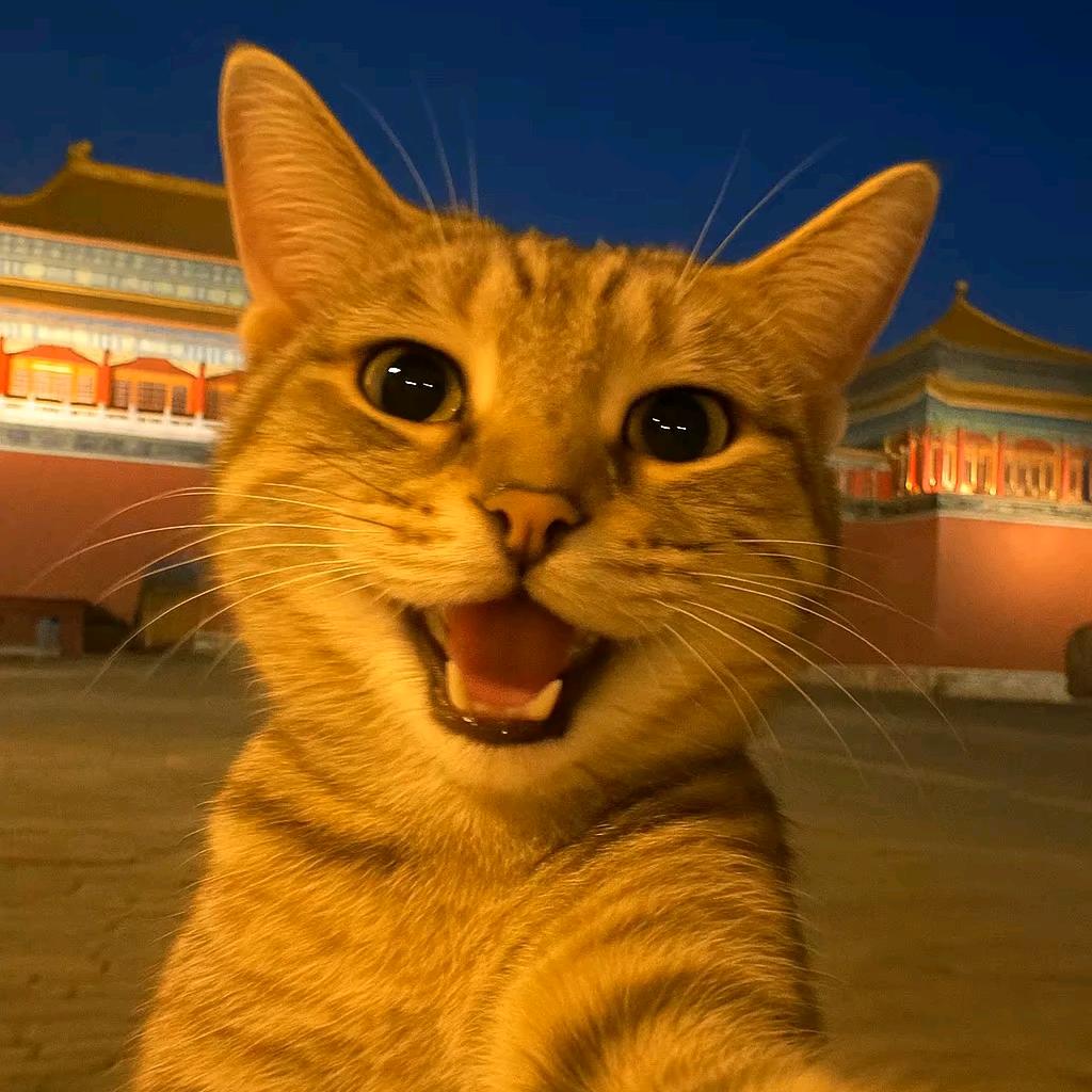 东北胖姐零食铺