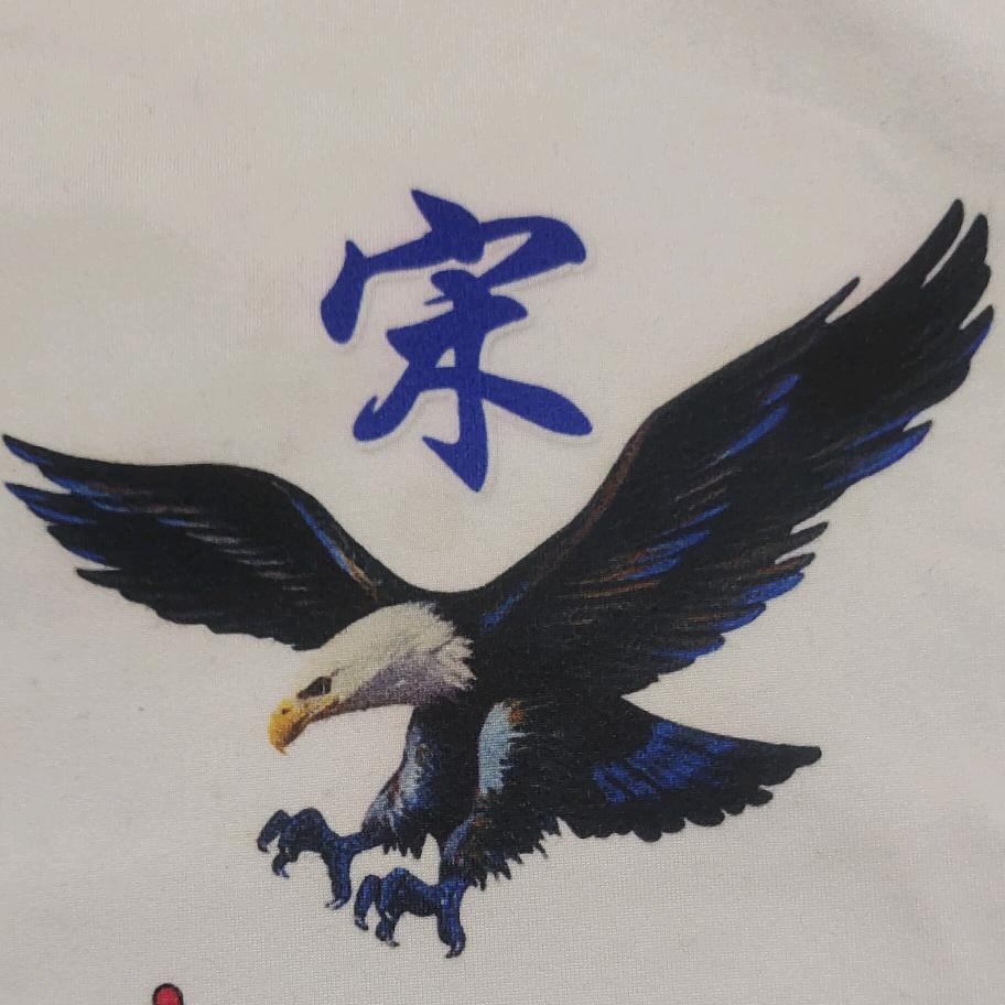 颍上县江店孜老宋