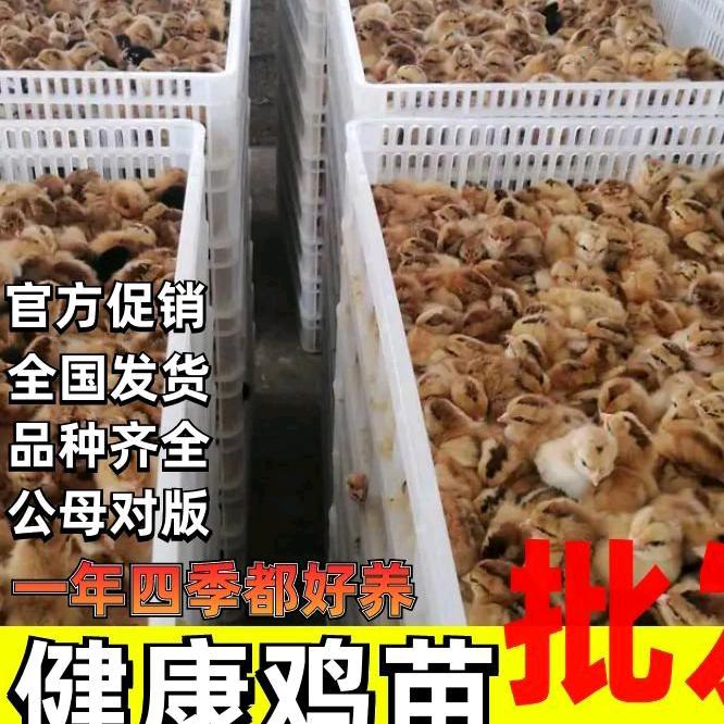 元益满生活好物