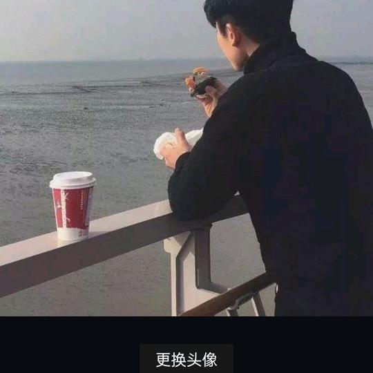 醉不成欢
