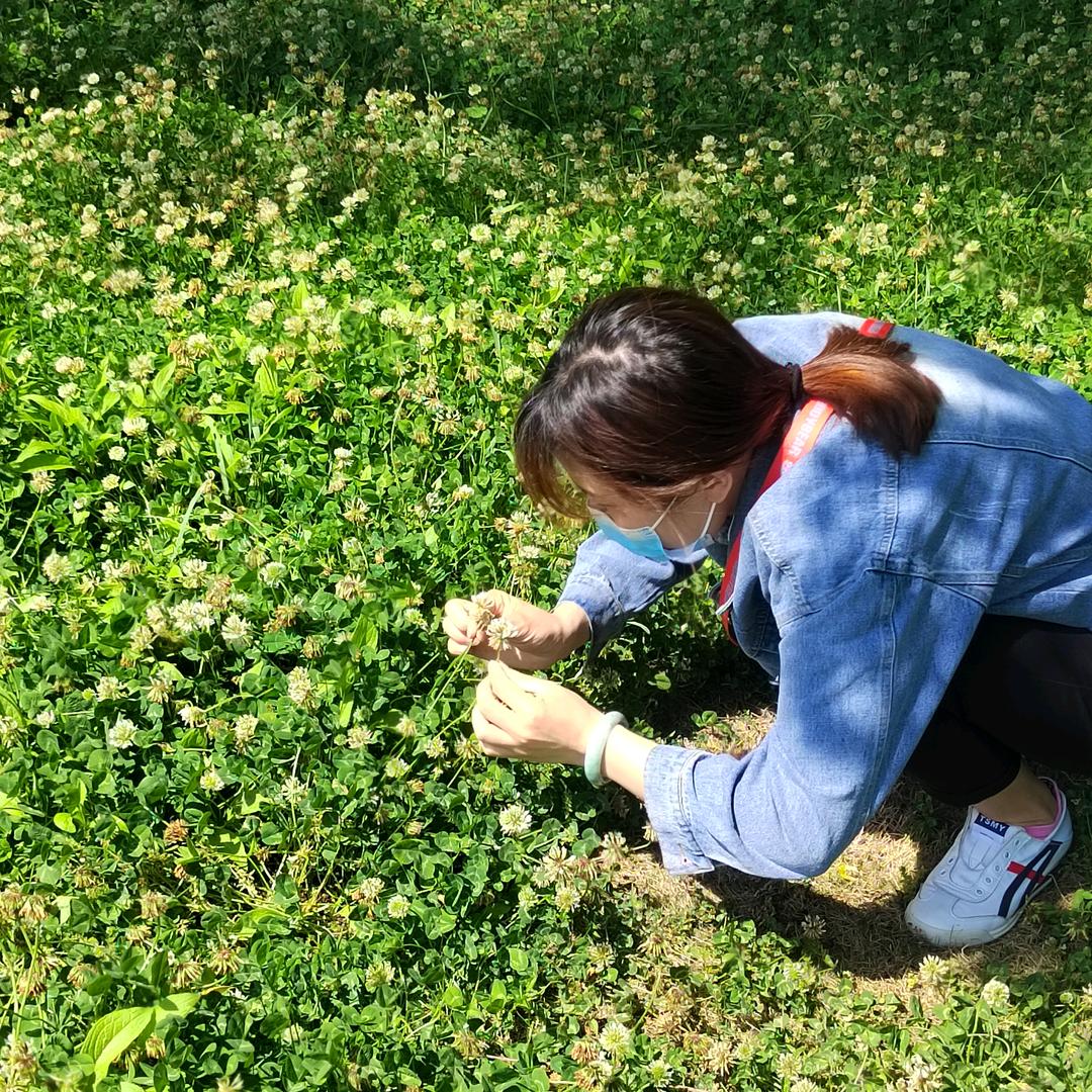 崔小咪