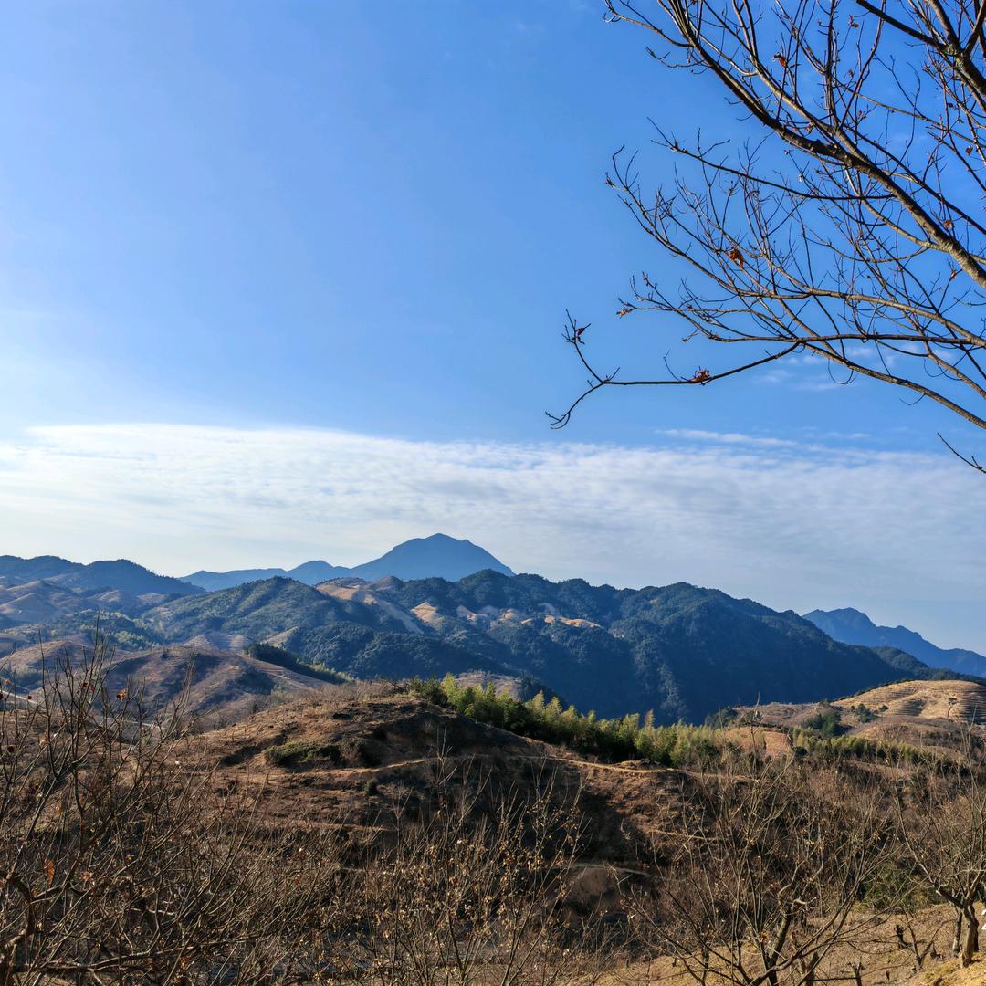 🍀好运常相随🍀