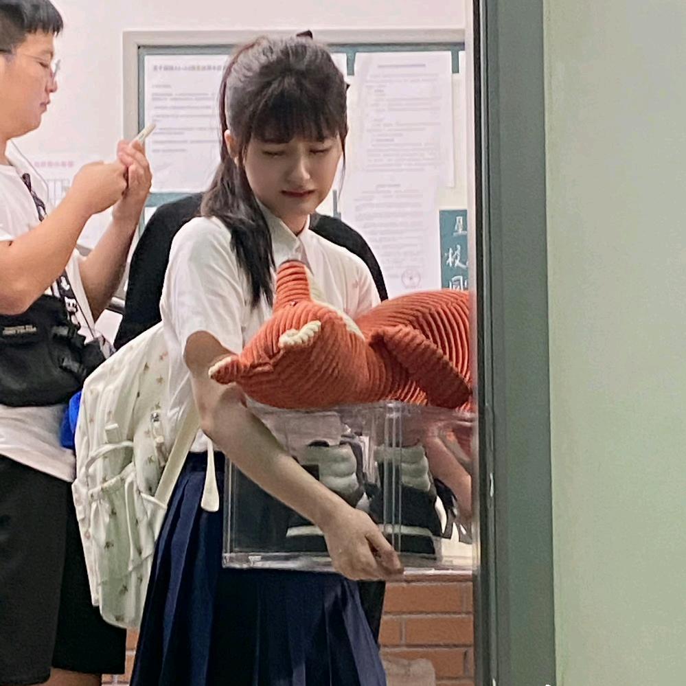 🌈“浪漫小刘³”