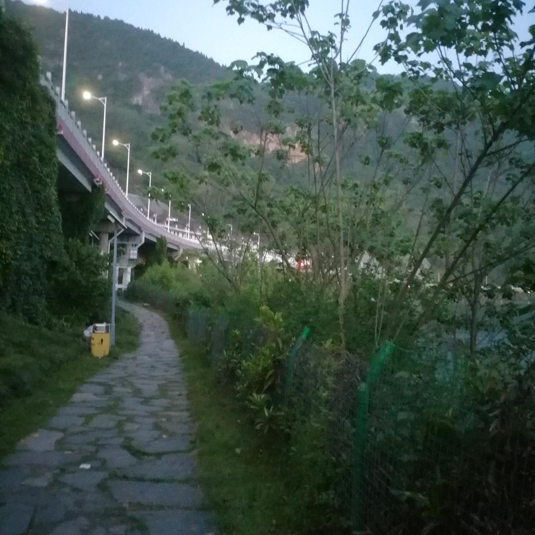 花开淡墨痕