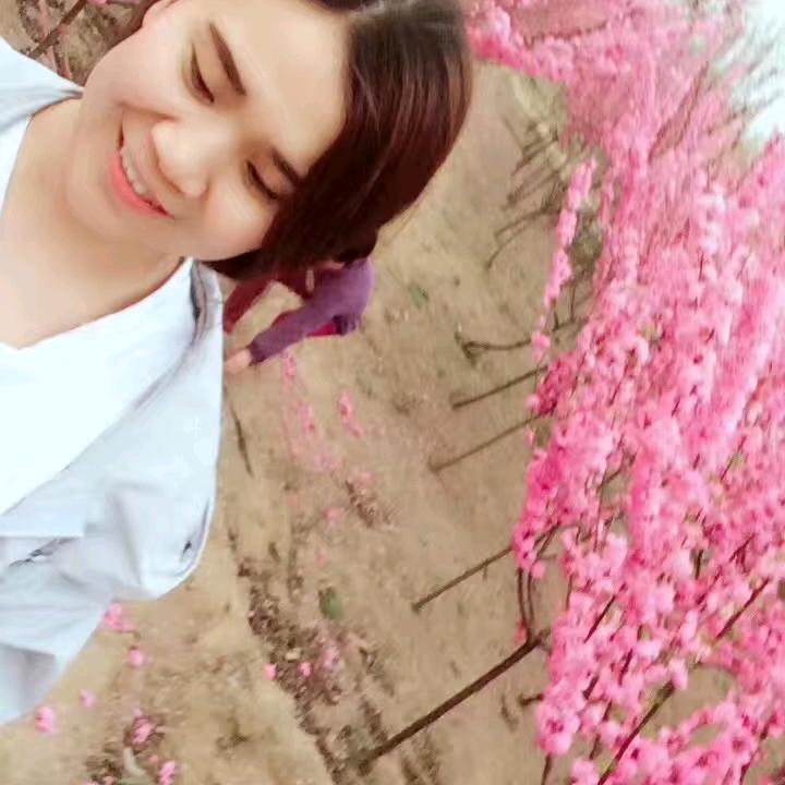 小朱微胖(做自己)