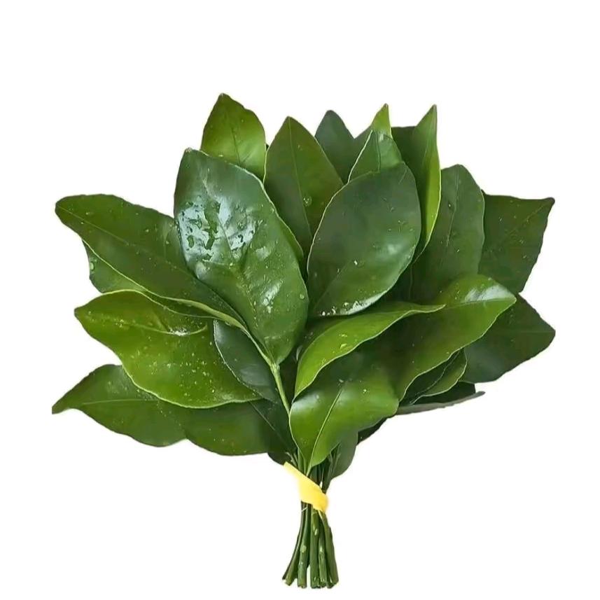 秋