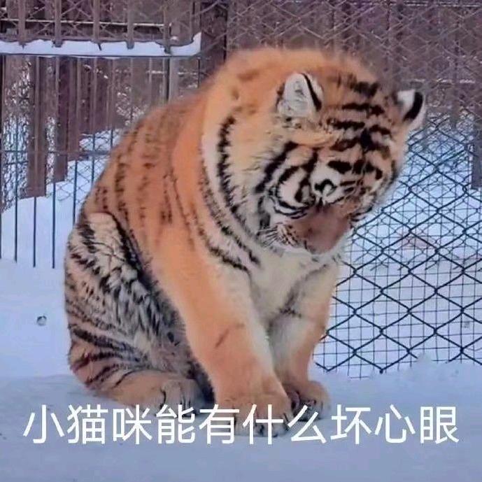 醉梦