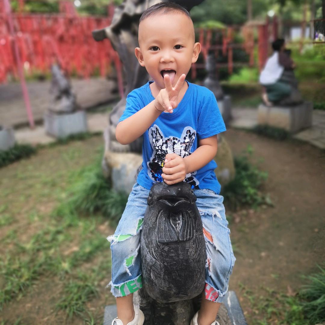 鱼生～小王子～