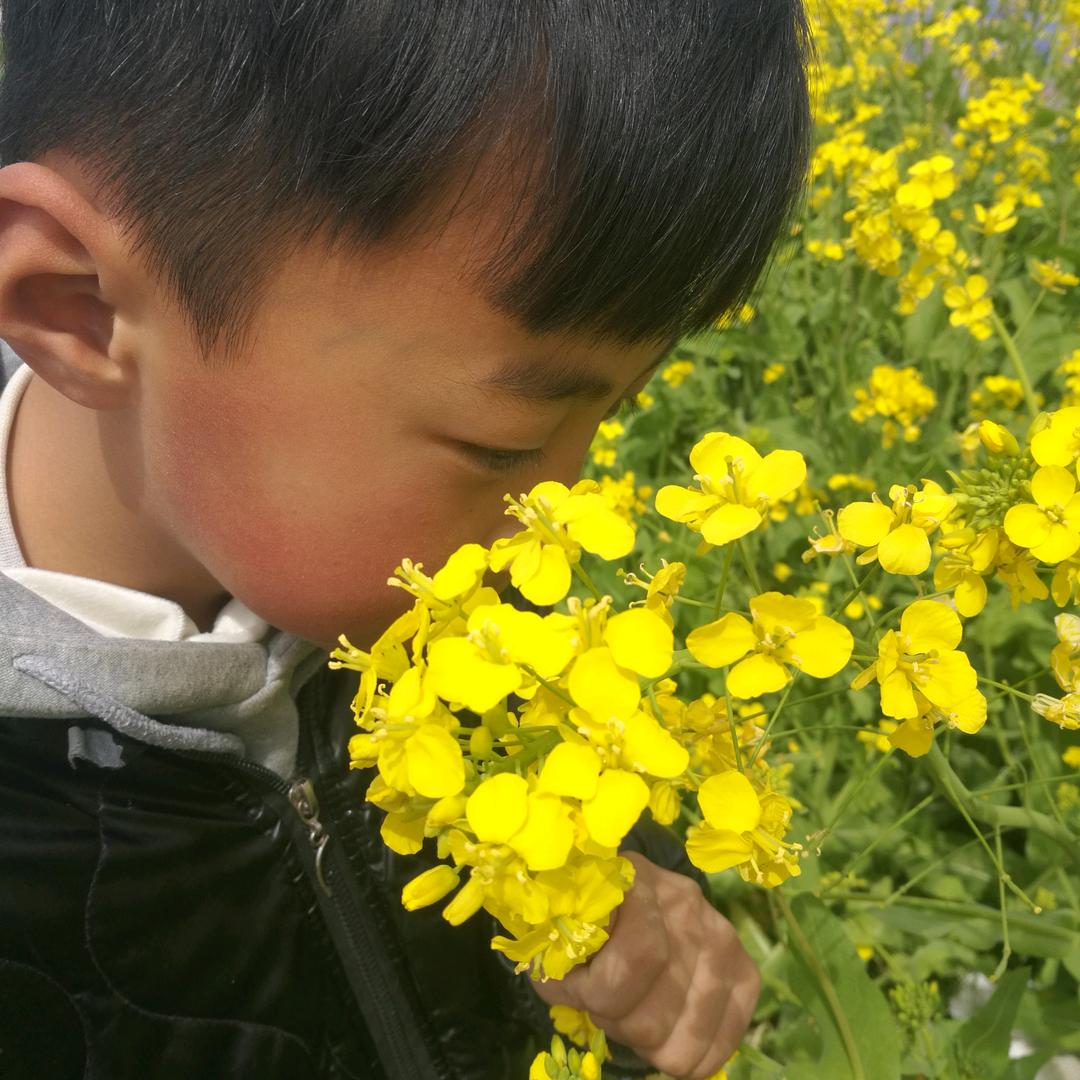 桐赫一博