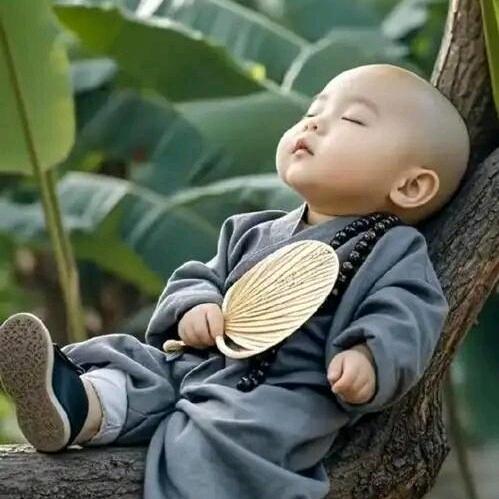 倩倩🍂猪肚批发