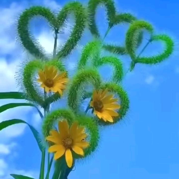 努力带货的蜗牛