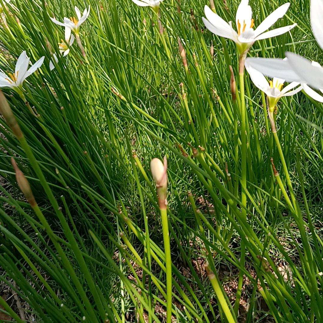 兵。。🧚🏽‍♀️