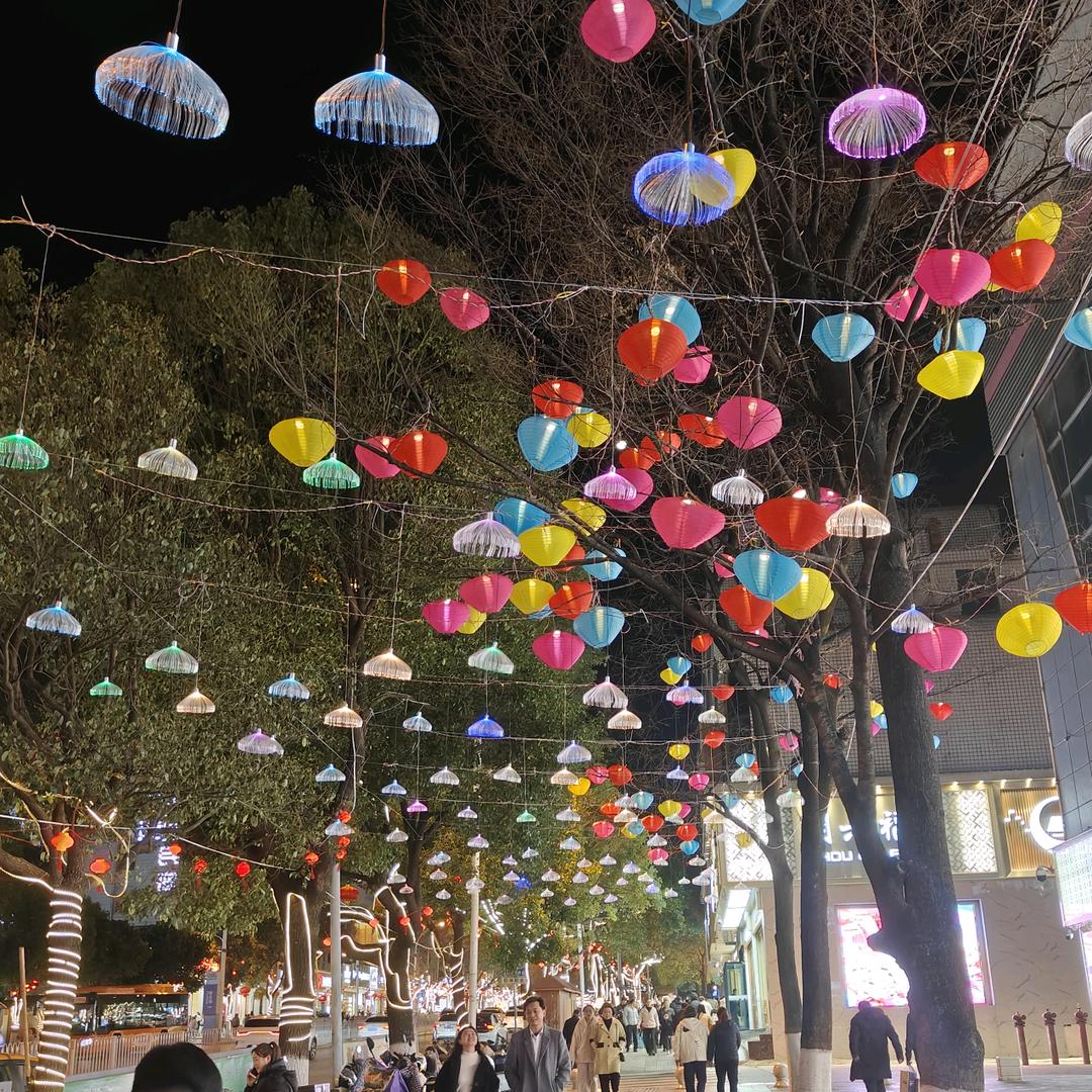 禽兽医带你养鸡