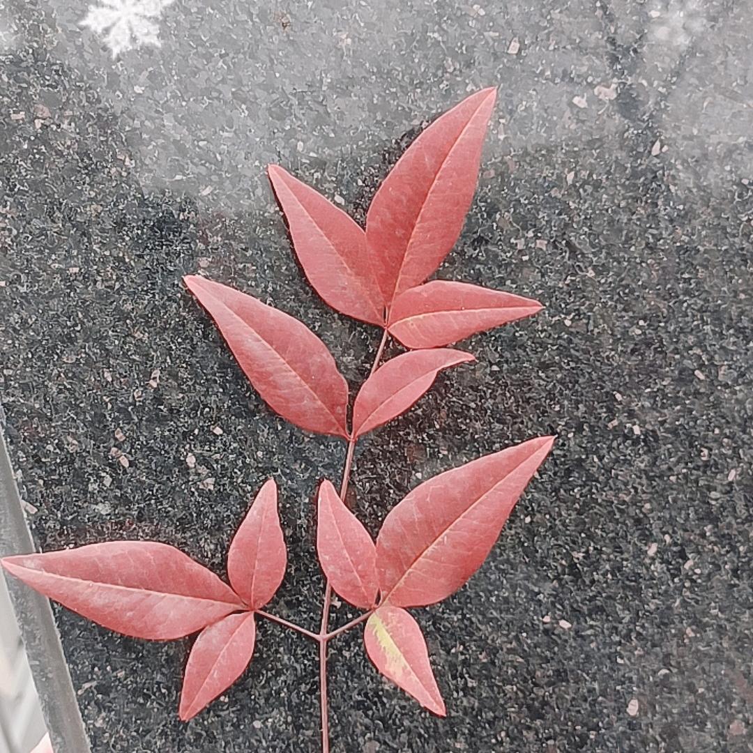 冰冻三尺非一日之寒