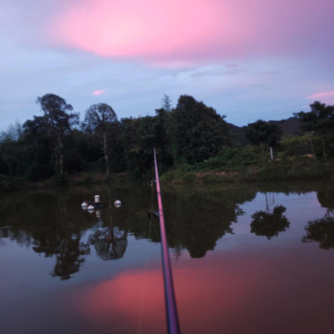 朝如青丝暮成雪