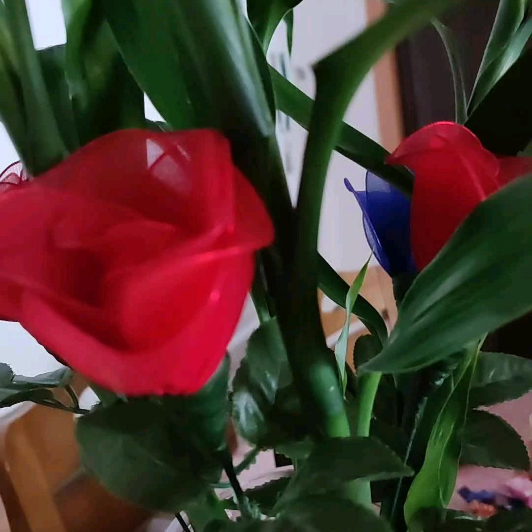翠.