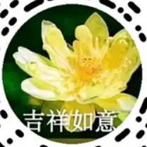 三点红
