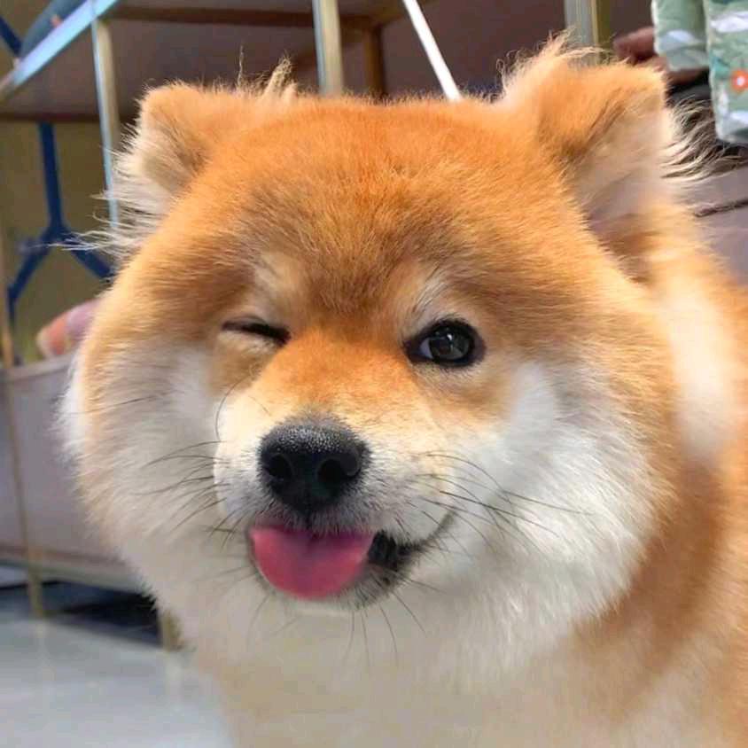 优势（三角洲行动）