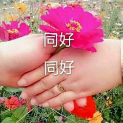 愿得一人心@白首不相离%李鑫
