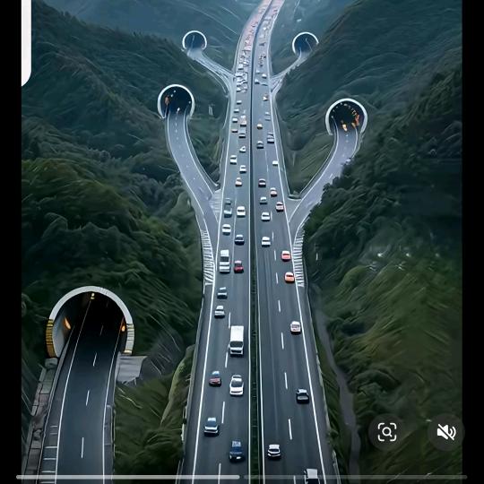 姓张，而张罗不了你。