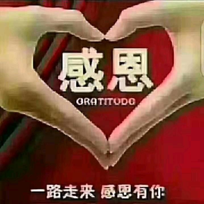 护你周全
