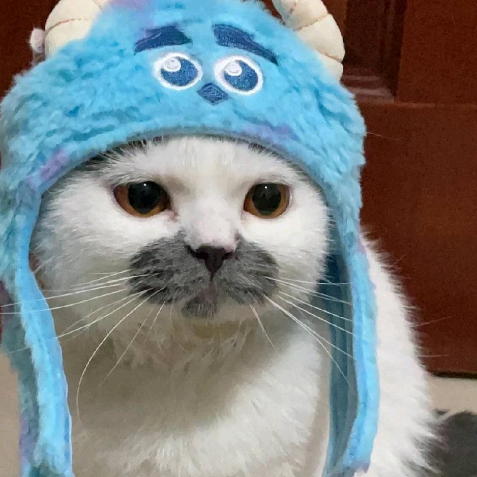 蒂芙尼