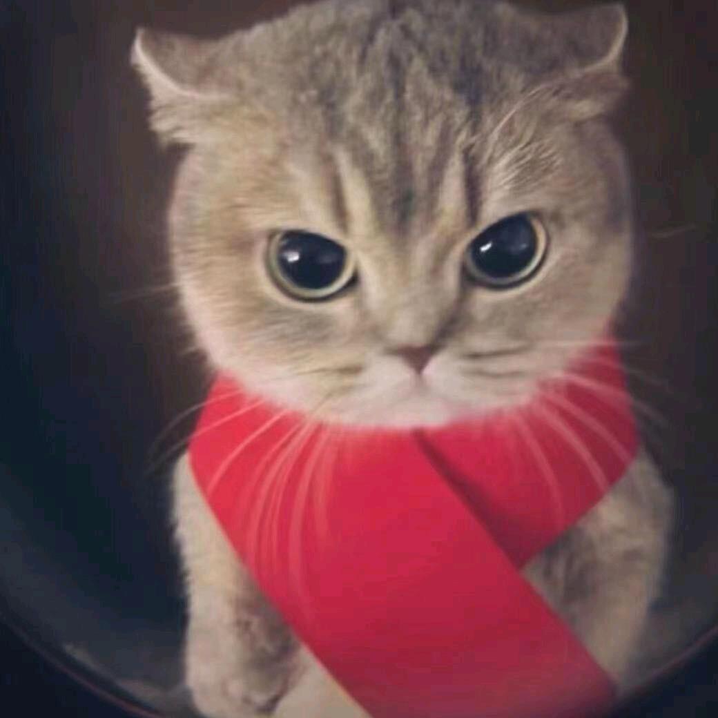 吾独断千古(小蚍蜉)