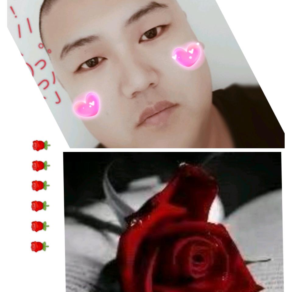 🌴             🌹😍