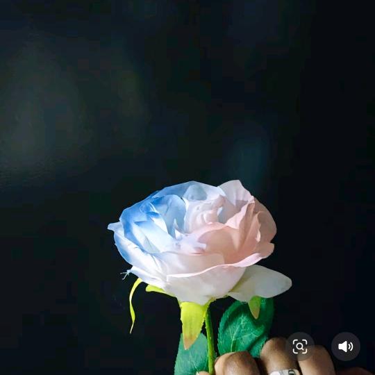 o>_<o转身陌路★