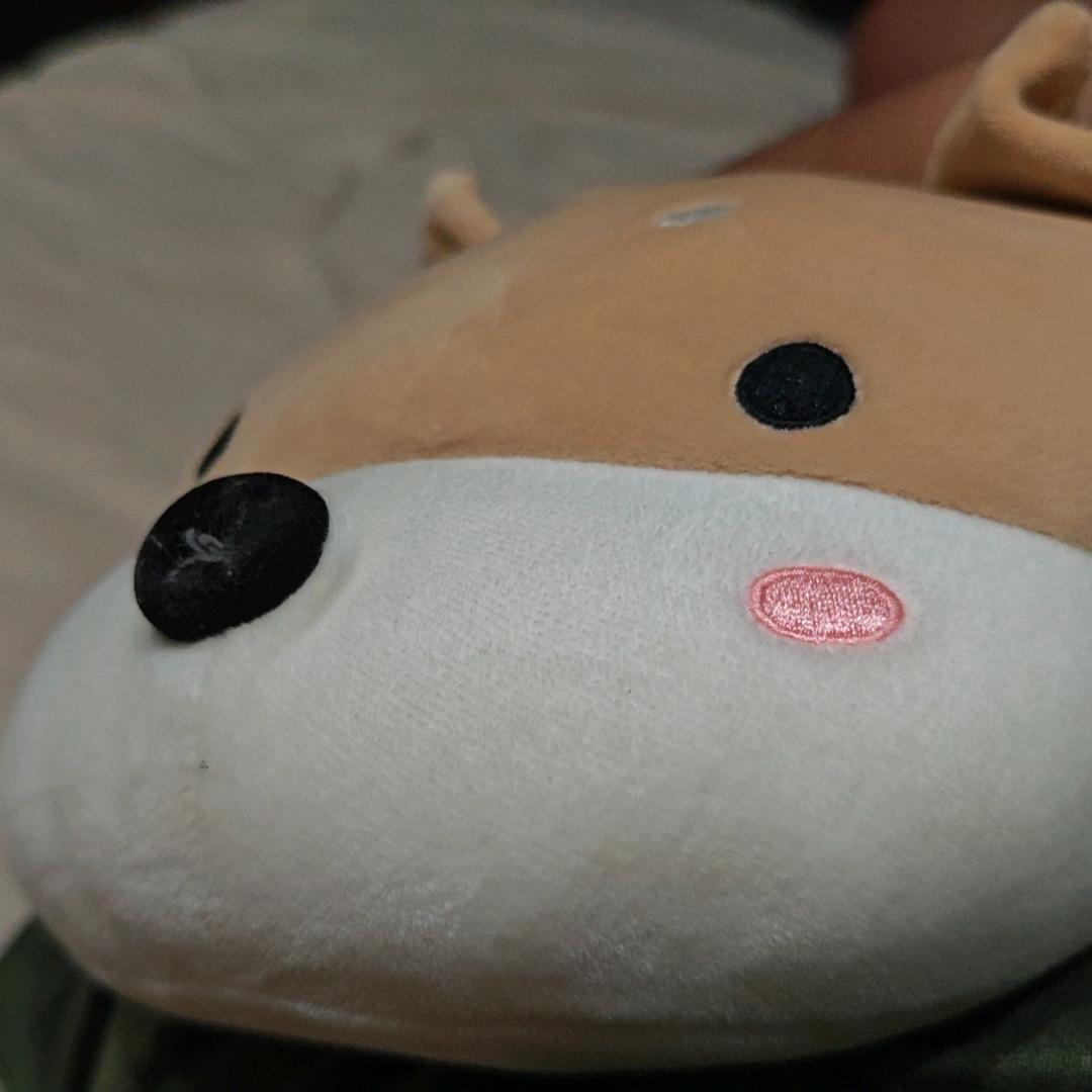 姜姜不吃姜