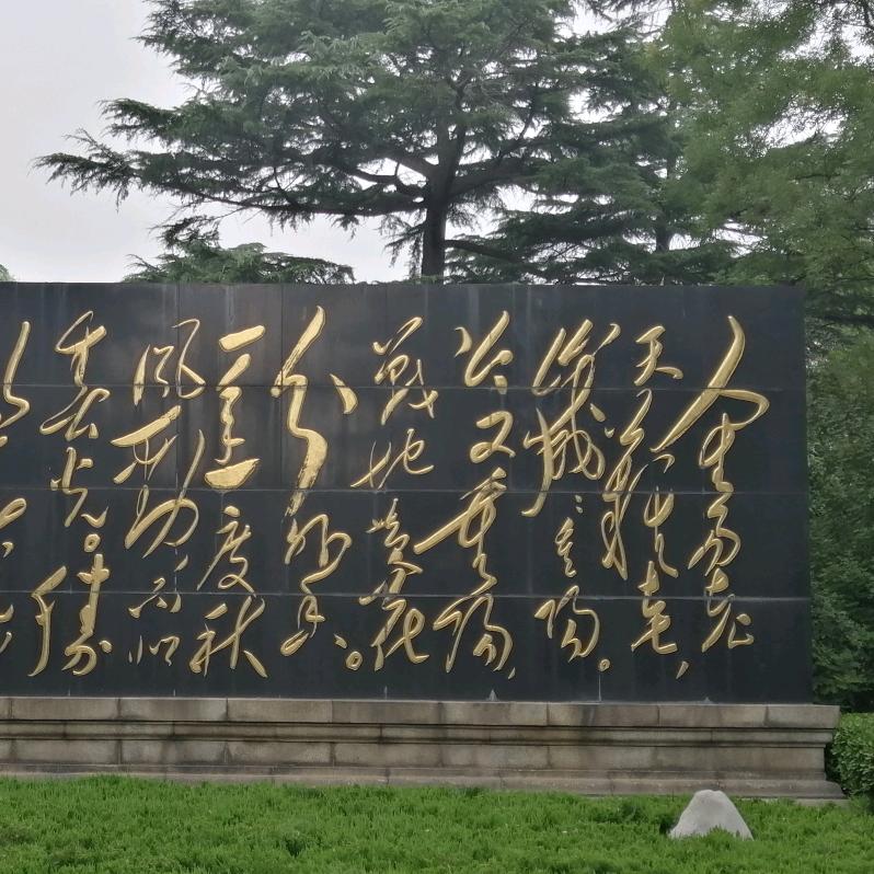 从善如刘