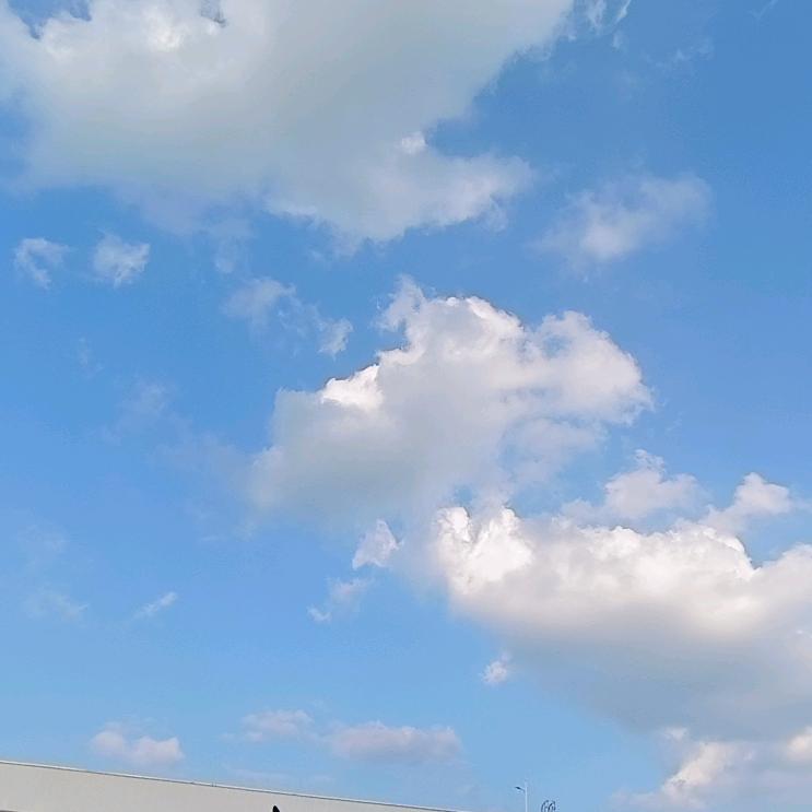 彤仔爹地