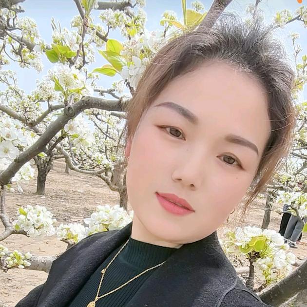 宋健移动酒店一条龙服务