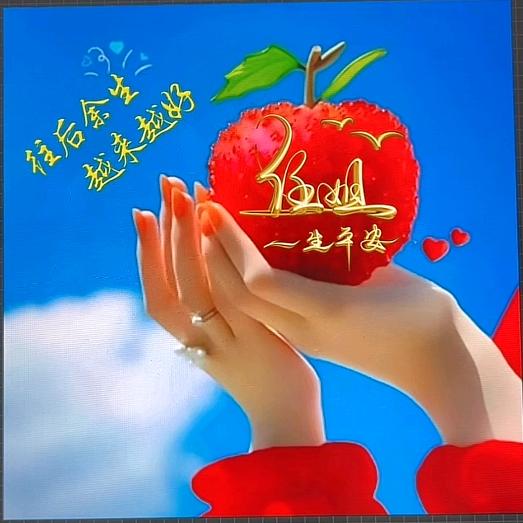 任姐✨