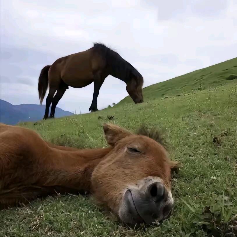 擦浪嘿呦