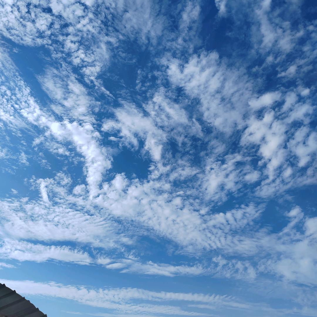 青青美食⁵⁸⁸