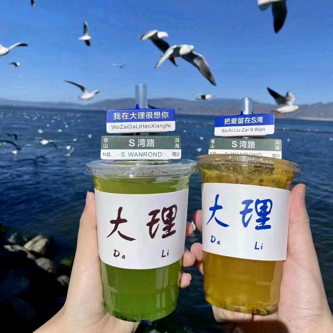 小秦带你看世界