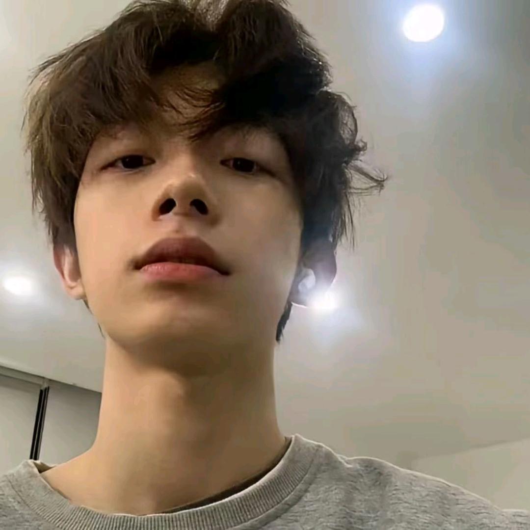 石奢