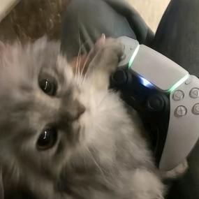 小祈遇冬（限死版）