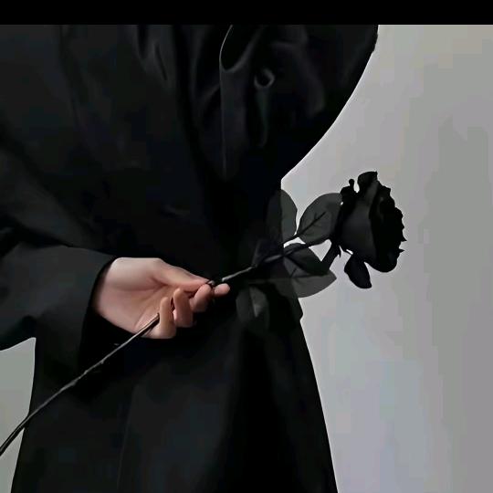 风Feng